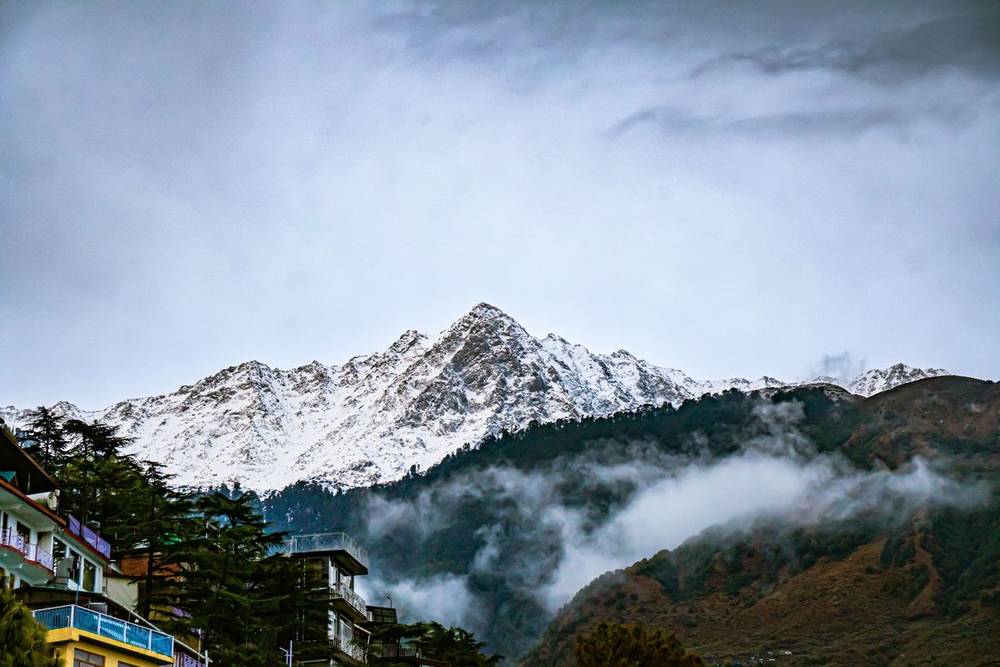 Snow-capped Dhauladhar peaks rising above clouds and hillside buildings at McLeod Ganj