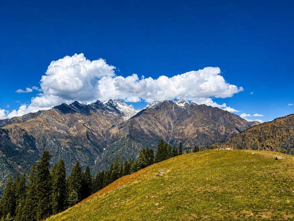 Grassy ridge and pine forest facing snow-dusted peaks on the Bhun Bhuni Top trek